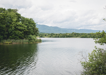 Lac calme bordé d'arbres avec chaîne de montagnes en arrière-plan
